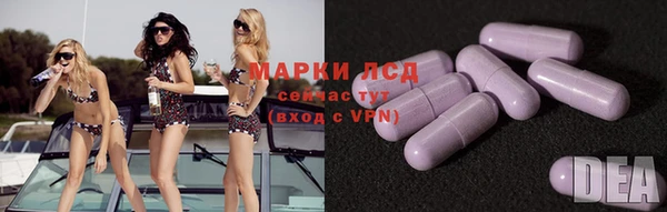 ПСИЛОЦИБИНОВЫЕ ГРИБЫ Алексин