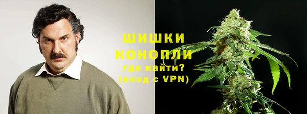 ПСИЛОЦИБИНОВЫЕ ГРИБЫ Алексин