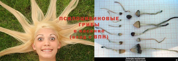 соль ск Алзамай