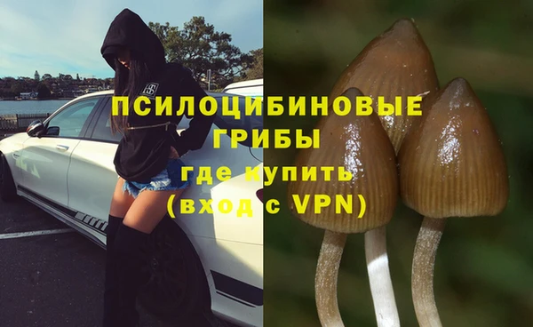 ПСИЛОЦИБИНОВЫЕ ГРИБЫ Алексин