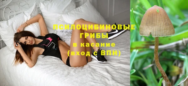соль ск Алзамай