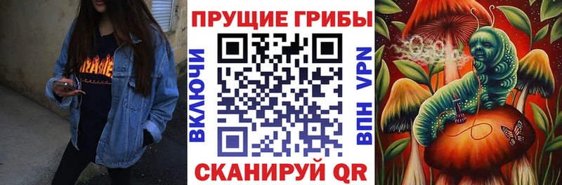 Псилоцибиновые грибы мицелий  купить   Самара 